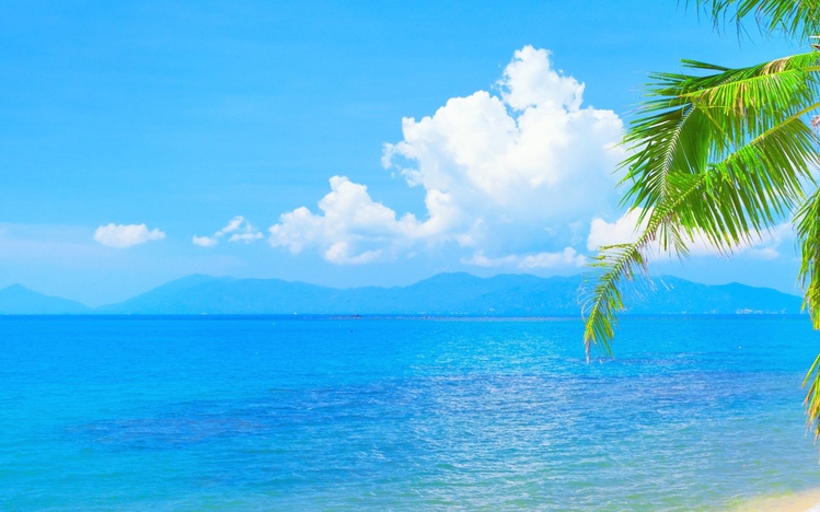 Tropical Beach Windows 10 Theme themepack.me