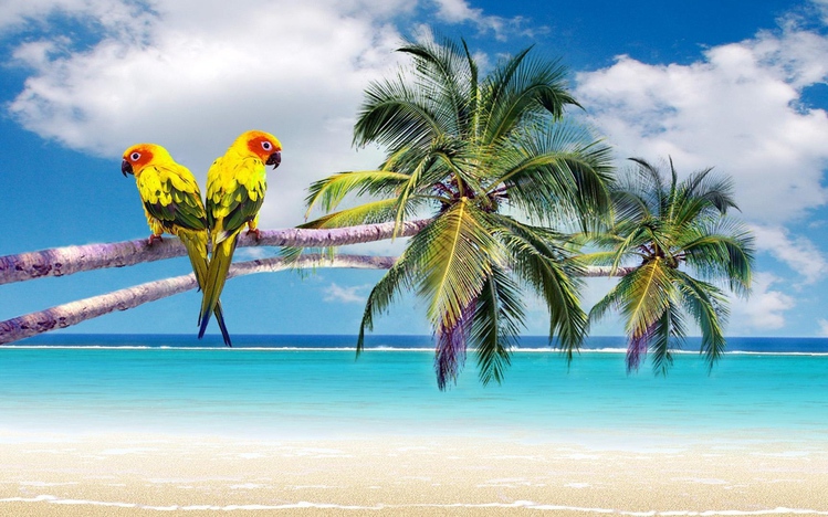 Beach Themes For Windows 10