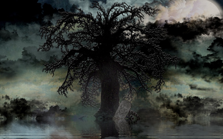 Dark Trees Windows 10 Theme - themepack.me