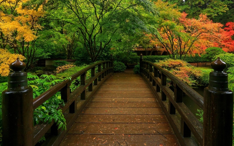 Japanese Garden Windows 10 Theme - themepack.me