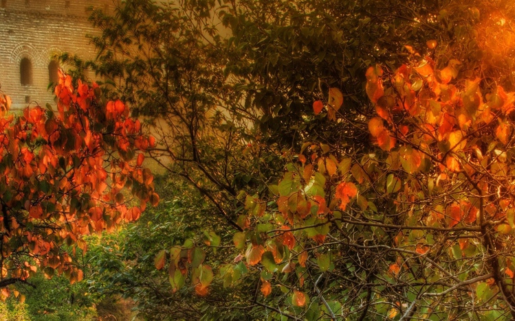 China Windows 10 Theme - themepack.me