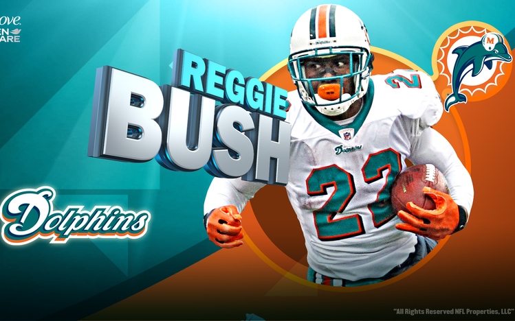 Miami Dolphins Windows 10 Theme - themepack.me