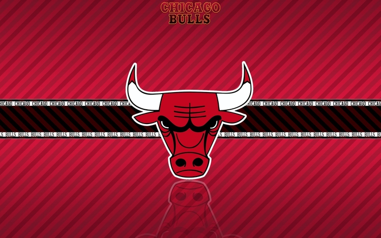 Chicago Bulls Windows 10 Theme - themepack.me