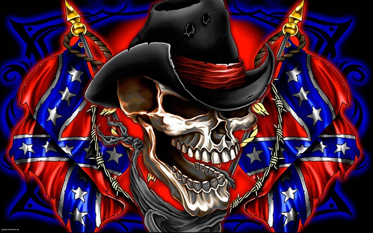 Rebel Flag Windows 10 Theme - themepack.me