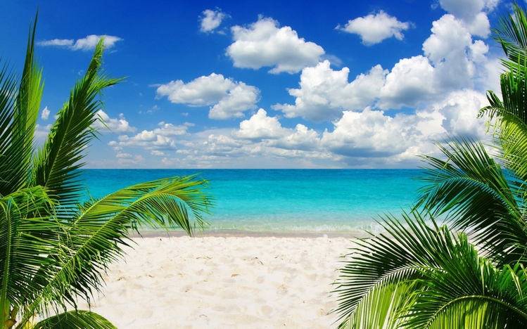 10 Tropical Beach Windows Theme