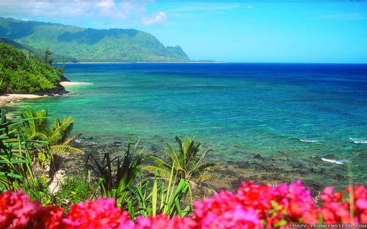 hawaii theme microsoft powerpoint