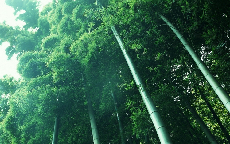 bamboo paper windows 10 bamboo paper windows 10